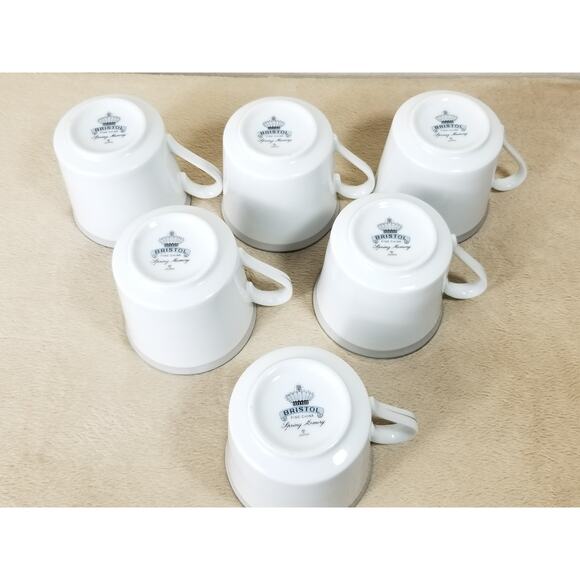 Bristol Tea Cup Spring Memory Fine China Japan Vintage Collectible Set of 6 - Picture 11 of 12
